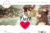 Wedding Inlove – Wedding & Wedding Planner website template